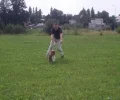 Zdjęcie z galerii