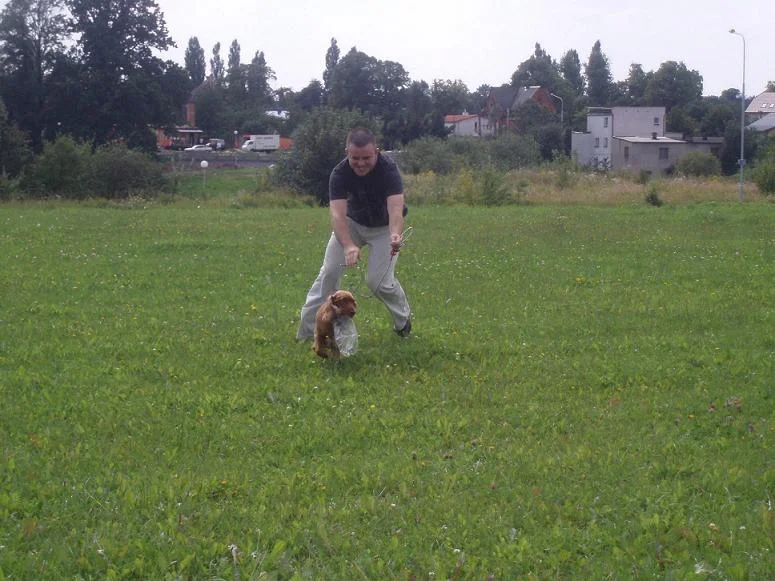 Zdjęcie z galerii